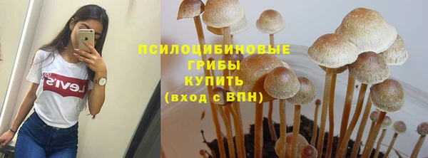 ПСИЛОЦИБИНОВЫЕ ГРИБЫ Арсеньев