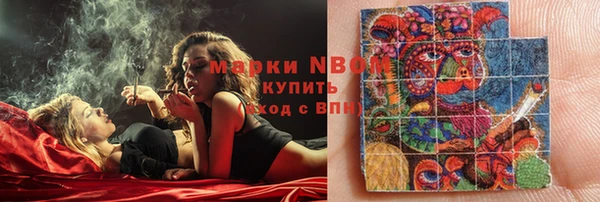 ПСИЛОЦИБИНОВЫЕ ГРИБЫ Арсеньев