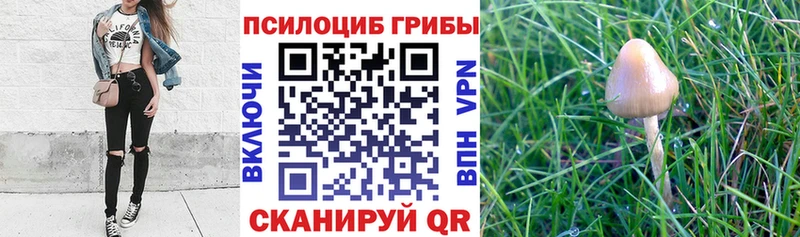 ОМГ ОМГ ссылка  Сысерть  это как зайти  Псилоцибиновые грибы Magic Shrooms 